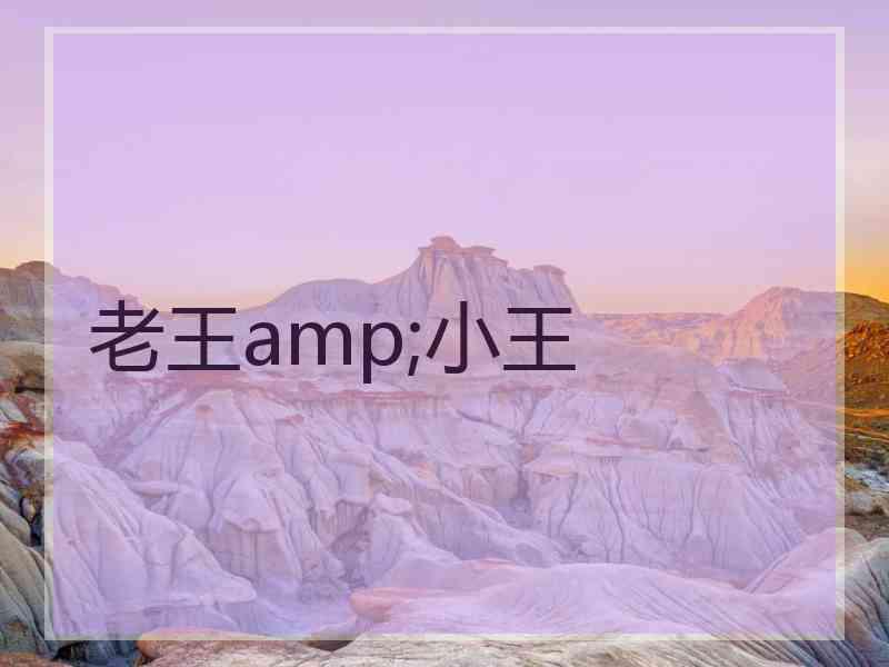 老王amp;小王