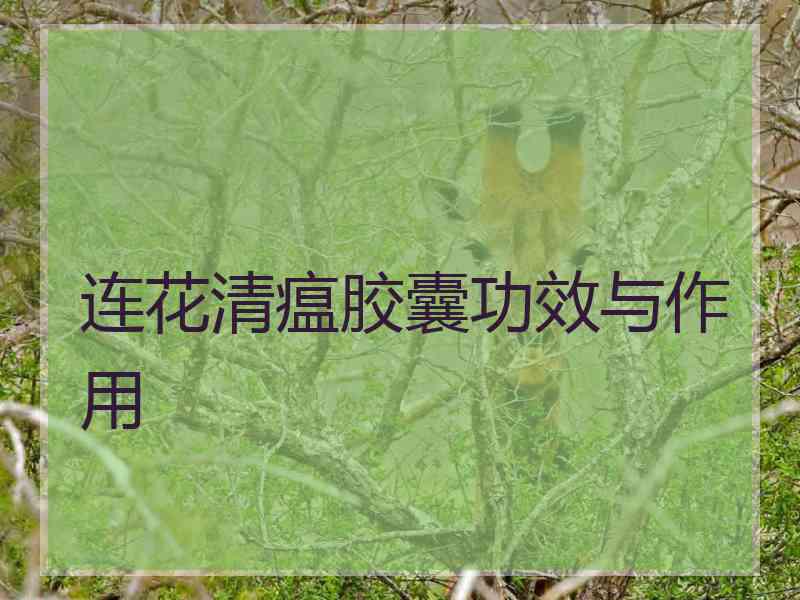 连花清瘟胶囊功效与作用