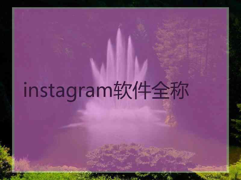 instagram软件全称