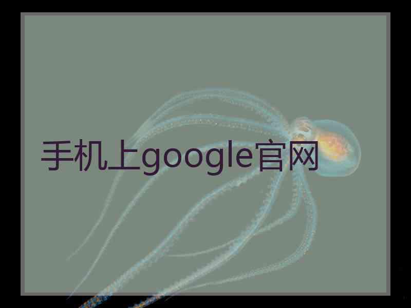 手机上google官网