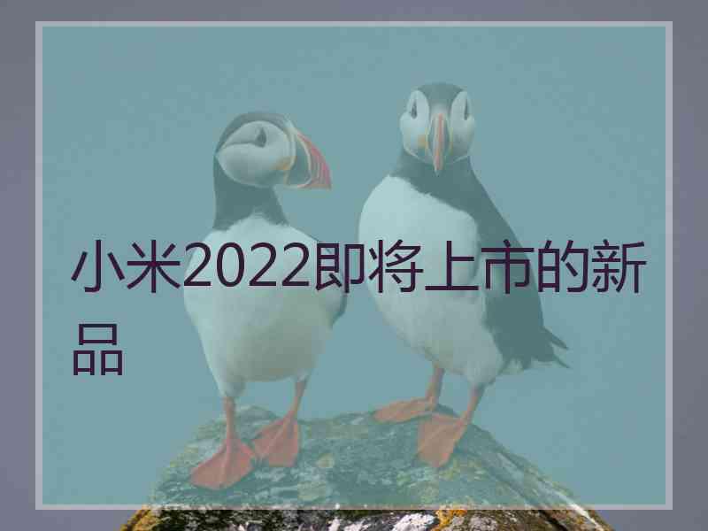 小米2022即将上市的新品