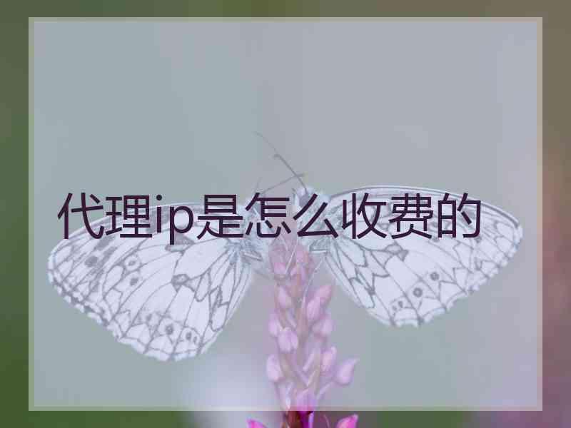 代理ip是怎么收费的