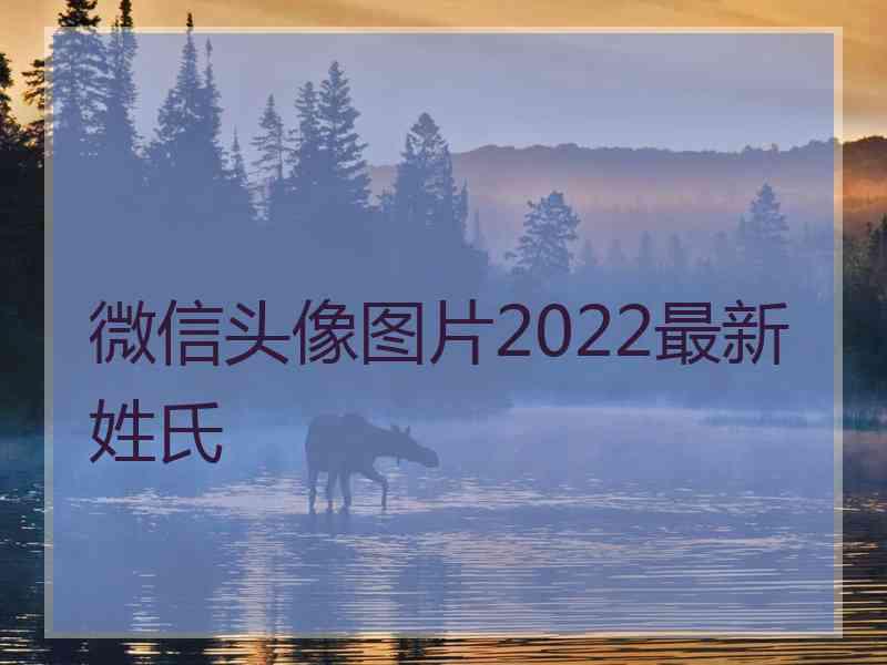 微信头像图片2022最新姓氏