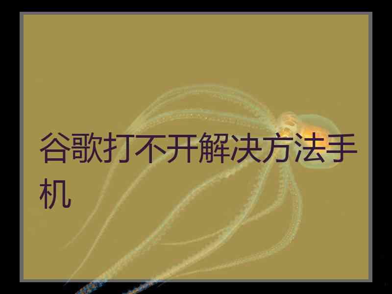 谷歌打不开解决方法手机