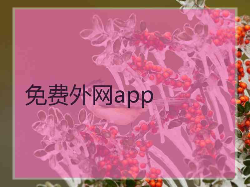 免费外网app