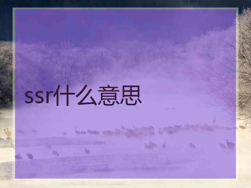 ssr什么意思