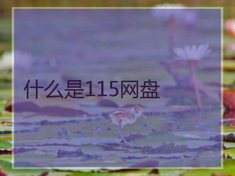 什么是115网盘