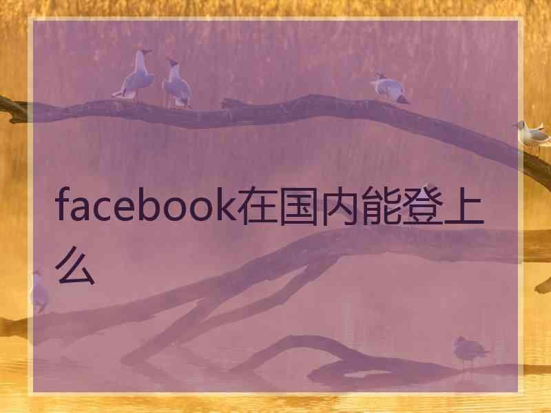 facebook在国内能登上么