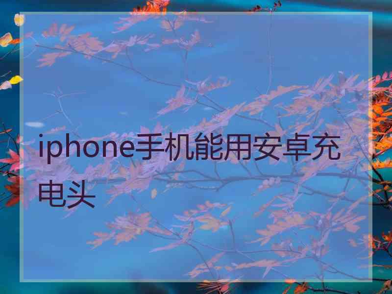 iphone手机能用安卓充电头