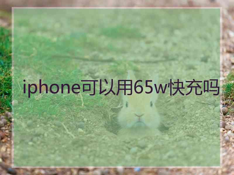 iphone可以用65w快充吗