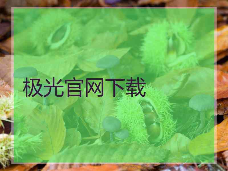 极光官网下载