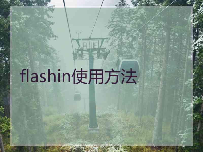 flashin使用方法