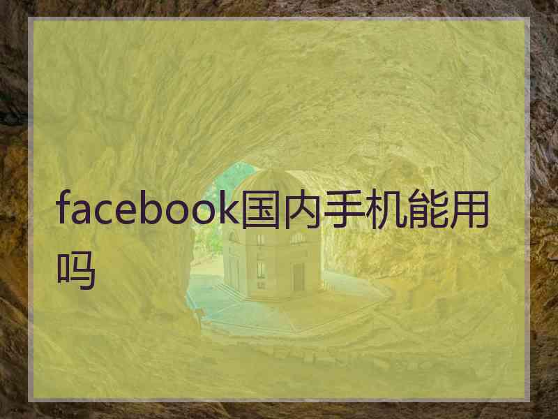 facebook国内手机能用吗