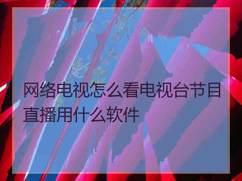 网络电视怎么看电视台节目直播用什么软件