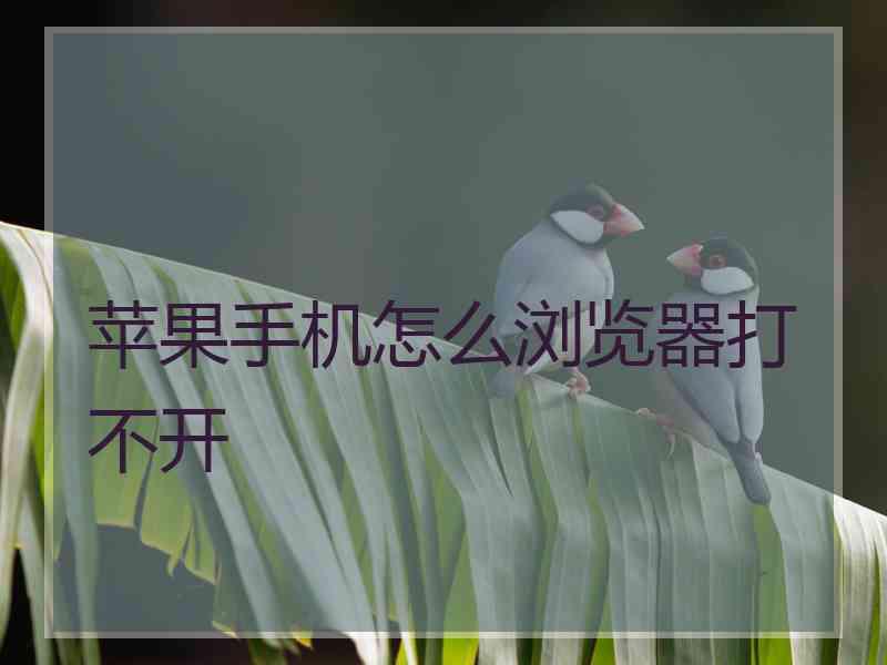 苹果手机怎么浏览器打不开