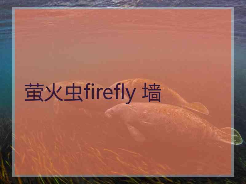 萤火虫firefly 墙