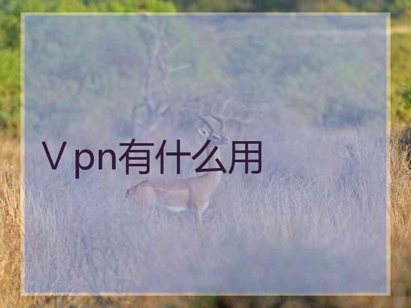 Ⅴpn有什么用