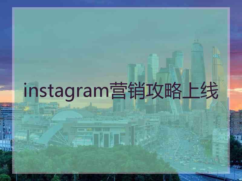 instagram营销攻略上线