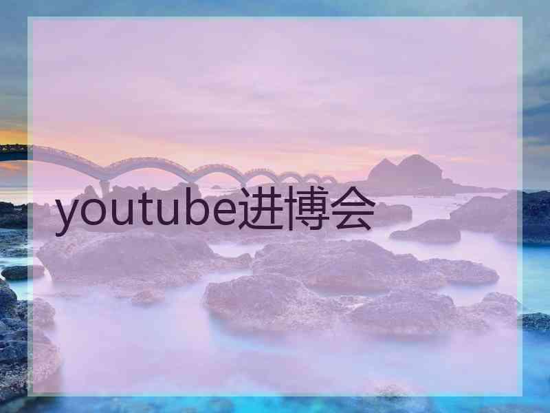 youtube进博会