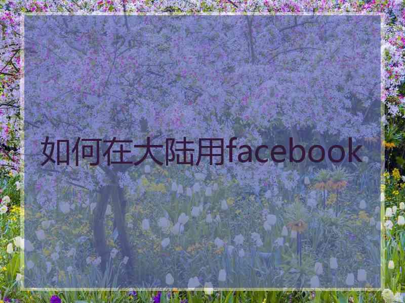 如何在大陆用facebook