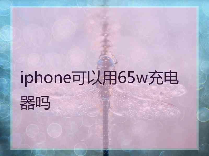 iphone可以用65w充电器吗